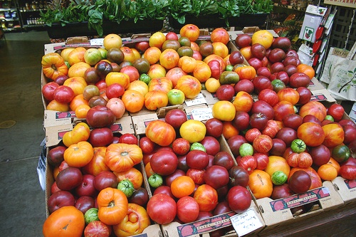 43300162-farmers_market_tomatoes